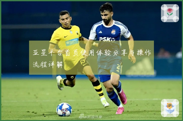 亚星平台首页使用体验分享与操作流程详解